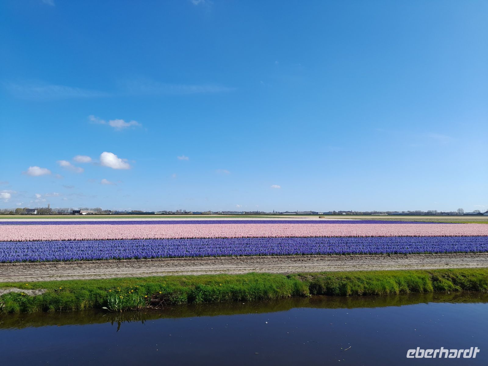 Blütenpracht im Keukenhof &ndash; &copy; Sinah Witzig (Eberhardt TRAVEL)