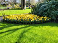 043 Keukenhof &ndash; &copy; Jörg Nesse (Eberhardt TRAVEL)