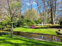 044 Keukenhof &ndash; &copy; Jörg Nesse (Eberhardt TRAVEL)