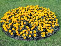 046 Keukenhof &ndash; &copy; Jörg Nesse (Eberhardt TRAVEL)