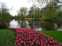 Keukenhof (3).JPG &ndash; &copy; Lisa-Maria Pahl (Eberhardt TRAVEL)