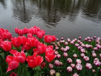 Keukenhof (10).JPG &ndash; &copy; Lisa-Maria Pahl (Eberhardt TRAVEL)