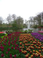 Keukenhof (20).JPG &ndash; &copy; Lisa-Maria Pahl (Eberhardt TRAVEL)