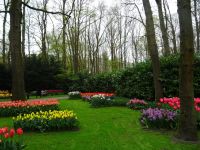 Keukenhof (40).JPG &ndash; &copy; Lisa-Maria Pahl (Eberhardt TRAVEL)