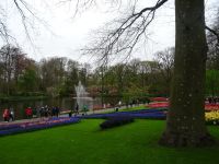Keukenhof (48).JPG &ndash; &copy; Lisa-Maria Pahl (Eberhardt TRAVEL)