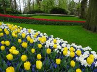 Keukenhof (51).JPG &ndash; &copy; Lisa-Maria Pahl (Eberhardt TRAVEL)