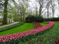 Keukenhof (56).JPG &ndash; &copy; Lisa-Maria Pahl (Eberhardt TRAVEL)