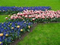 Keukenhof (72).JPG &ndash; &copy; Lisa-Maria Pahl (Eberhardt TRAVEL)