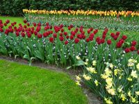 Keukenhof (76).JPG &ndash; &copy; Lisa-Maria Pahl (Eberhardt TRAVEL)