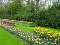 Keukenhof (79).JPG &ndash; &copy; Lisa-Maria Pahl (Eberhardt TRAVEL)