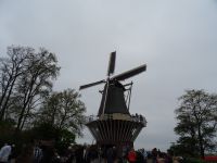Keukenhof (96).JPG &ndash; &copy; Lisa-Maria Pahl (Eberhardt TRAVEL)