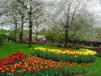 Keukenhof (121).JPG &ndash; &copy; Lisa-Maria Pahl (Eberhardt TRAVEL)