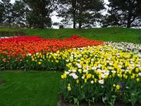 Keukenhof (133).JPG &ndash; &copy; Lisa-Maria Pahl (Eberhardt TRAVEL)