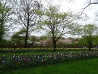 Keukenhof (147).JPG &ndash; &copy; Lisa-Maria Pahl (Eberhardt TRAVEL)