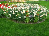 Keukenhof (148).JPG &ndash; &copy; Lisa-Maria Pahl (Eberhardt TRAVEL)