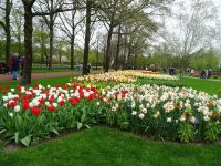 Keukenhof (149).JPG &ndash; &copy; Lisa-Maria Pahl (Eberhardt TRAVEL)