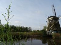 Stopp an einer Mühle in Amsterdam (8).JPG &ndash; &copy; Lisa-Maria Pahl (Eberhardt TRAVEL)