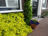 Stadtrundgang Haarlem (53).JPG &ndash; &copy; Lisa-Maria Pahl (Eberhardt TRAVEL)