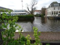 Stadtrundgang Haarlem (55).JPG &ndash; &copy; Lisa-Maria Pahl (Eberhardt TRAVEL)