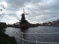 Stadtrundgang Haarlem (57).JPG &ndash; &copy; Lisa-Maria Pahl (Eberhardt TRAVEL)