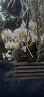 Pantropica &ndash; &copy; Kerstin Hugel (Eberhardt TRAVEL)