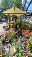 Blumenmarkt &ndash; &copy; Rena Becker (Eberhardt TRAVEL)