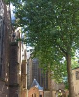 Altstadt von Gouda &ndash; &copy; Rena Becker (Eberhardt TRAVEL)