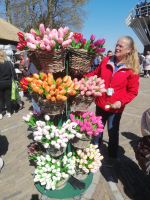 Blumenparadies Keukenhof: typische Souvenirs - Tülpen aus Holz &ndash; &copy; Andrey Kulikov (Eberhardt TRAVEL)