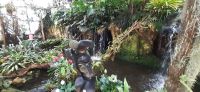 Pantropica &ndash; &copy; Kerstin Hugel (Eberhardt TRAVEL)