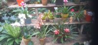 Pantropica &ndash; &copy; Kerstin Hugel (Eberhardt TRAVEL)