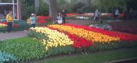 Keukenhof &ndash; &copy; Kerstin Hugel (Eberhardt TRAVEL)