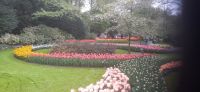 Keukenhof &ndash; &copy; Kerstin Hugel (Eberhardt TRAVEL)