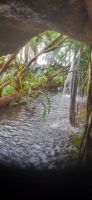 Pantropica &ndash; &copy; Kerstin Hugel (Eberhardt TRAVEL)