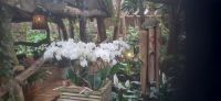 Pantropica &ndash; &copy; Kerstin Hugel (Eberhardt TRAVEL)
