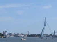 Erasmusbrücke 