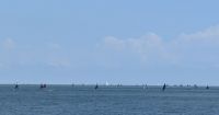 Surfer auf dem Ijsselmeer &ndash; &copy; Sabine Möllering-Stork (Eberhardt TRAVEL)