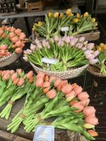 Amsterdam- Tulpen in Amsterdam &ndash; &copy; Renate Grafe (Eberhardt TRAVEL)