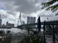 Rotterdam- Erasmusbrücke (