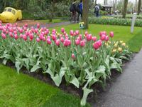 Im Keukenhof &ndash; &copy; Jörg Nesse (Eberhardt TRAVEL)