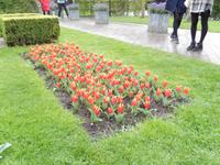 Im Keukenhof &ndash; &copy; Jörg Nesse (Eberhardt TRAVEL)
