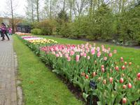 Im Keukenhof &ndash; &copy; Jörg Nesse (Eberhardt TRAVEL)
