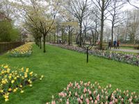Im Keukenhof &ndash; &copy; Jörg Nesse (Eberhardt TRAVEL)