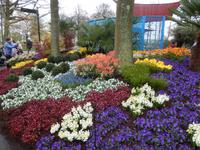 Im Keukenhof &ndash; &copy; Jörg Nesse (Eberhardt TRAVEL)