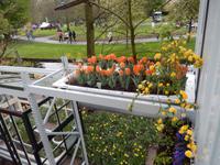 Im Keukenhof &ndash; &copy; Jörg Nesse (Eberhardt TRAVEL)