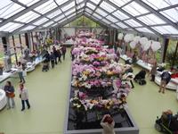 Im Keukenhof &ndash; &copy; Jörg Nesse (Eberhardt TRAVEL)