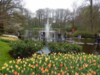 Im Keukenhof &ndash; &copy; Jörg Nesse (Eberhardt TRAVEL)