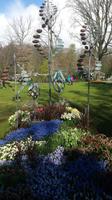 Keukenhof  &ndash; &copy; Kristina Hesse (Eberhardt TRAVEL)