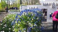Keukenhof  &ndash; &copy; Kristina Hesse (Eberhardt TRAVEL)