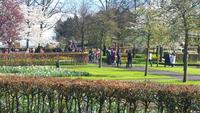 Keukenhof  &ndash; &copy; Kristina Hesse (Eberhardt TRAVEL)