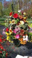 Keukenhof  &ndash; &copy; Kristina Hesse (Eberhardt TRAVEL)